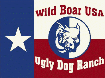 Wild Boar USA